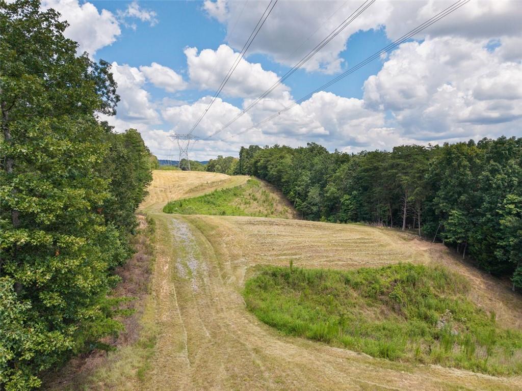 0 Mt Pleasant Road Northeast Fairmount, GA 30139 - Photo 50 of 59