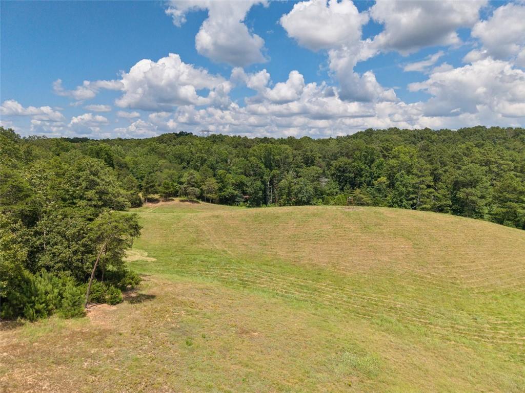 0 Mt Pleasant Road Northeast Fairmount, GA 30139 - Photo 51 of 59