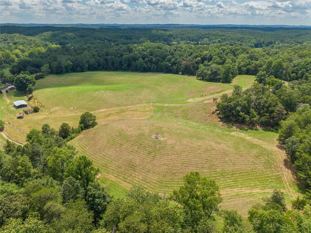 0 Mt Pleasant Road Northeast Fairmount, GA 30139 - Photo 52 of 59