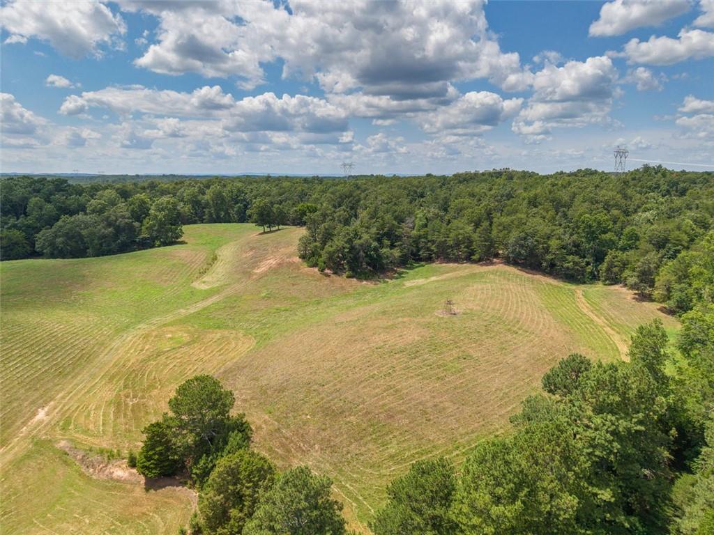 0 Mt Pleasant Road Northeast Fairmount, GA 30139 - Photo 53 of 59