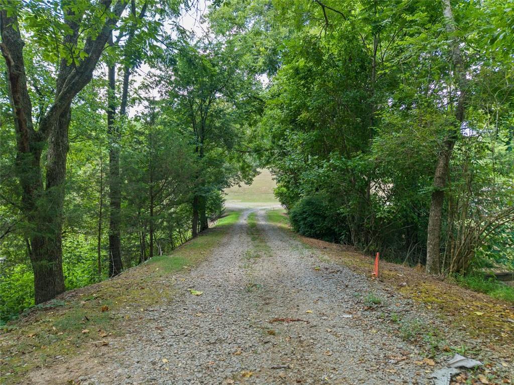 0 Mt Pleasant Road Northeast Fairmount, GA 30139 - Photo 56 of 59