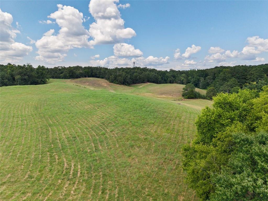 0 Mt Pleasant Road Northeast Fairmount, GA 30139 - Photo 58 of 59