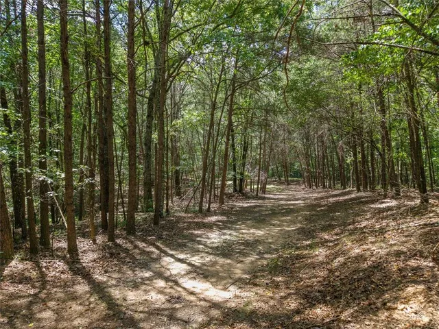 $1,285,000 | 0 Mt Pleasant Road Northeast, Fairmount, GA 30139