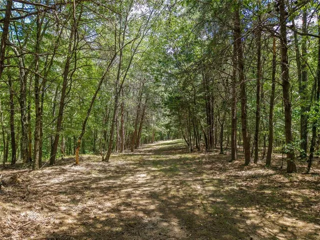 $1,285,000 | 0 Mt Pleasant Road Northeast, Fairmount, GA 30139