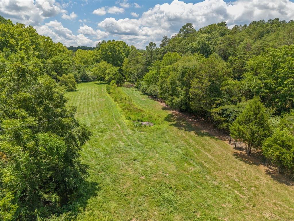 0 Mt Pleasant Road Northeast Fairmount, GA 30139 - Photo 10 of 59