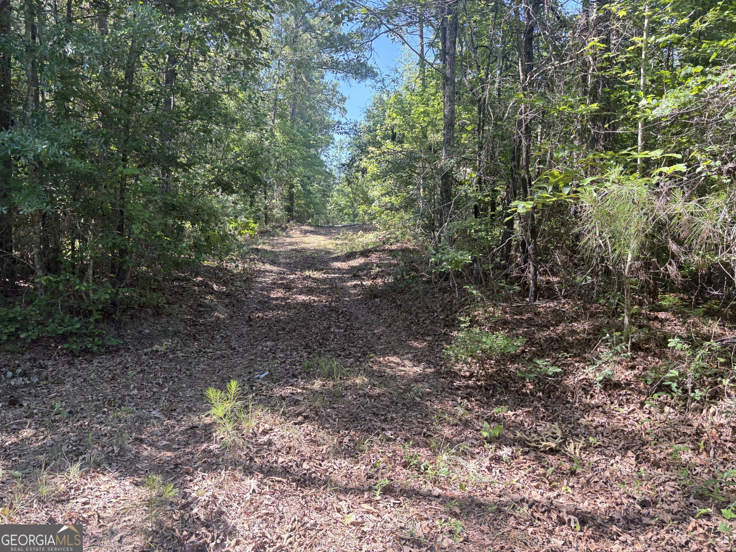 L1 Prosser Road Sandersville, GA 31082 - Photo 5 of 10