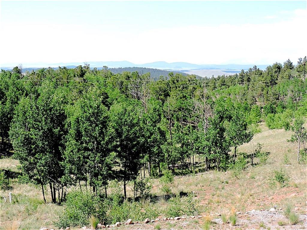 299 Gadwall Road Como, CO 80432 - Photo 23 of 25 a view of a yard with a tree