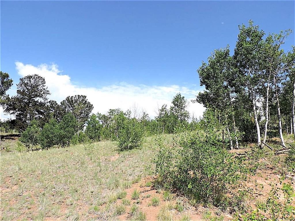 299 Gadwall Road Como, CO 80432 - Photo 24 of 25 a view of a forest with trees in the background