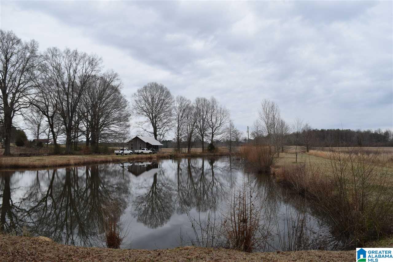 11218 Vance Blocton Road Vance, AL 35490 - Photo 17 of 37