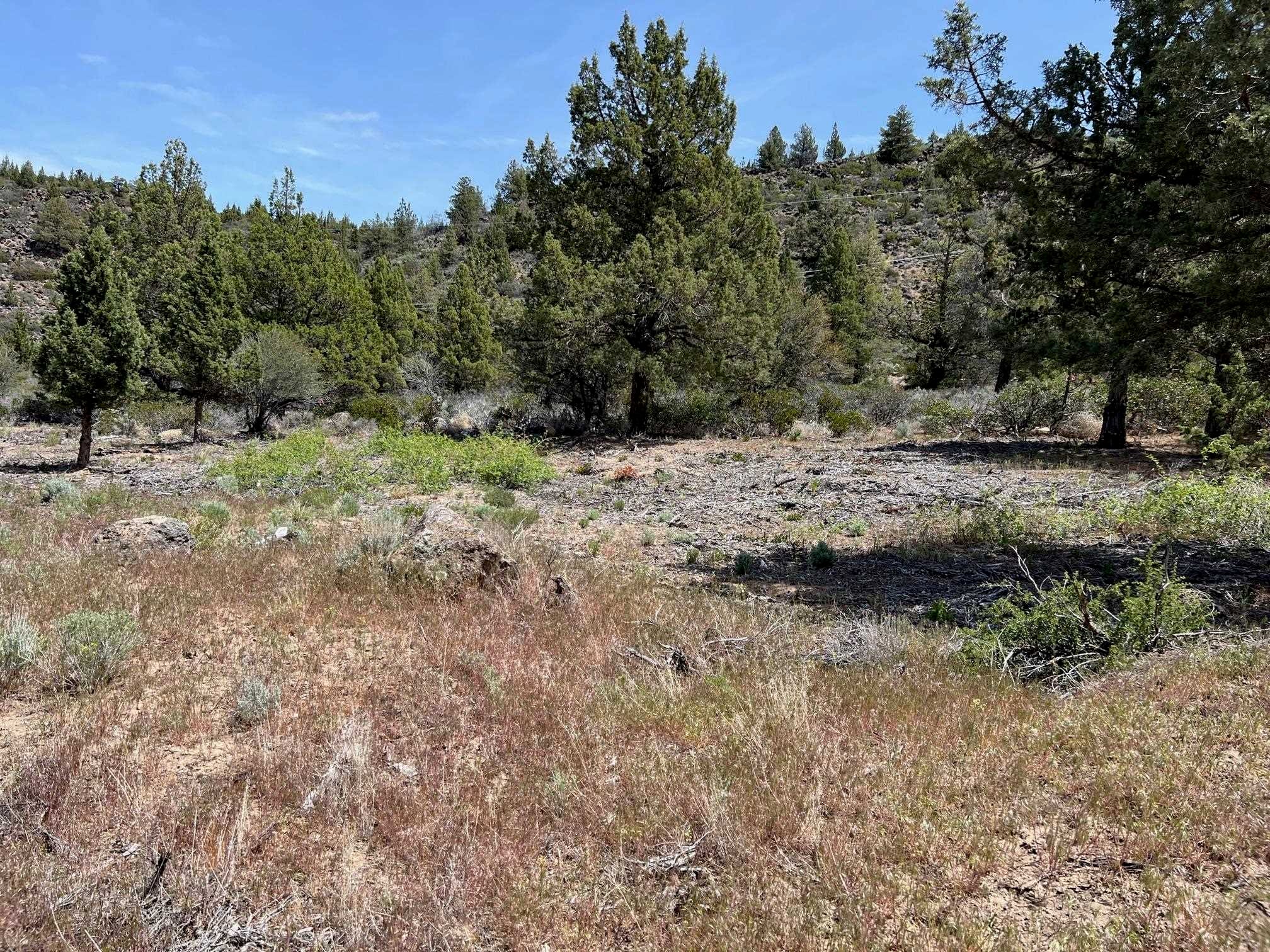 85 Big Springs Road Weed, CA 96094 - Photo 6 of 10 Gallery Image 6