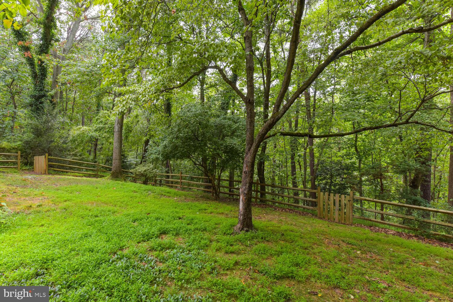 10902 Howland Drive Reston, VA 20191 - Photo 41 of 43 Fully Fence-In Backyard