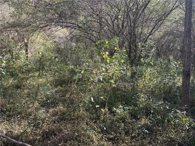 a view of a yard with a tree