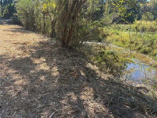 a view of a yard with a tree