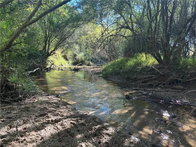 a view of a lake with large trees