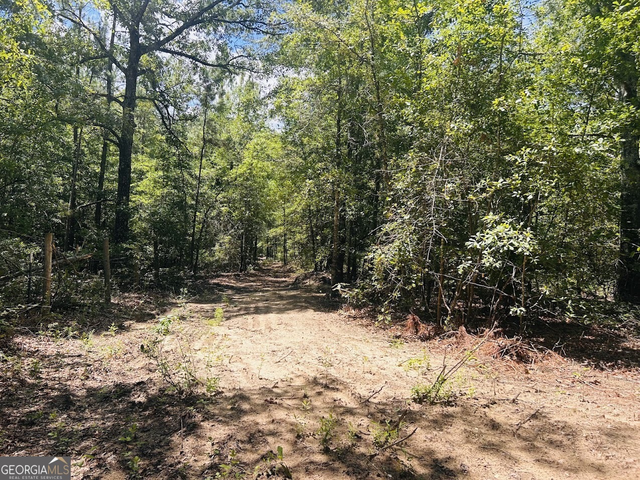 a view of a yard covered in snow
