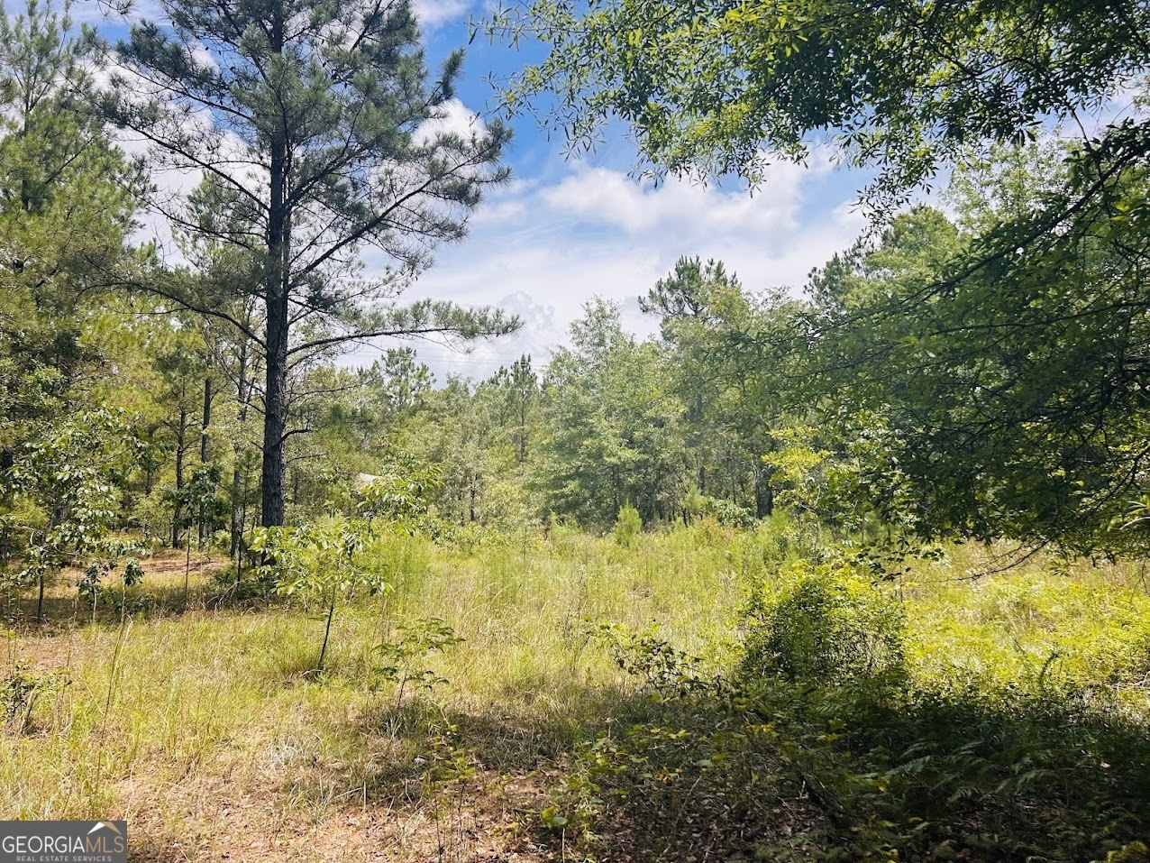 0 Moores Chapel Road Mauk, GA 31058 - Photo 16 of 32 a view of lake view