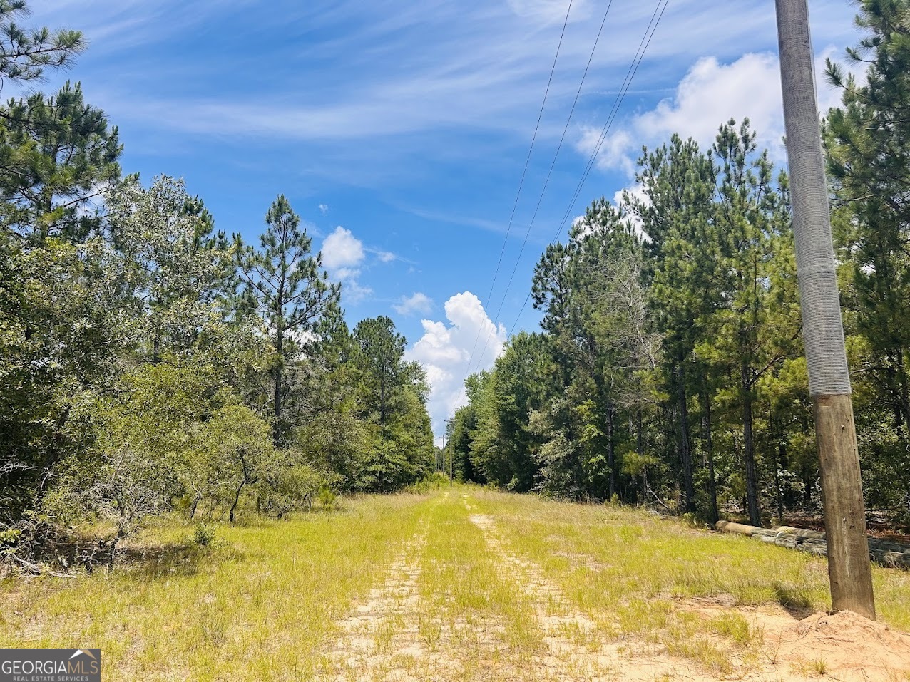 0 Moores Chapel Road Mauk, GA 31058 - Photo 18 of 32 a view of a swimming pool with an outdoor space and seating area