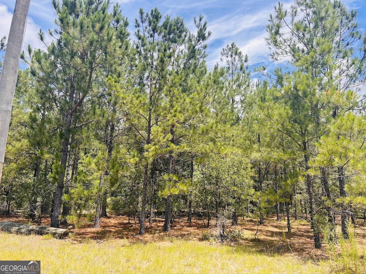 0 Moores Chapel Road Mauk, GA 31058 - Photo 19 of 32 a view of swimming pool with lawn chairs and large trees