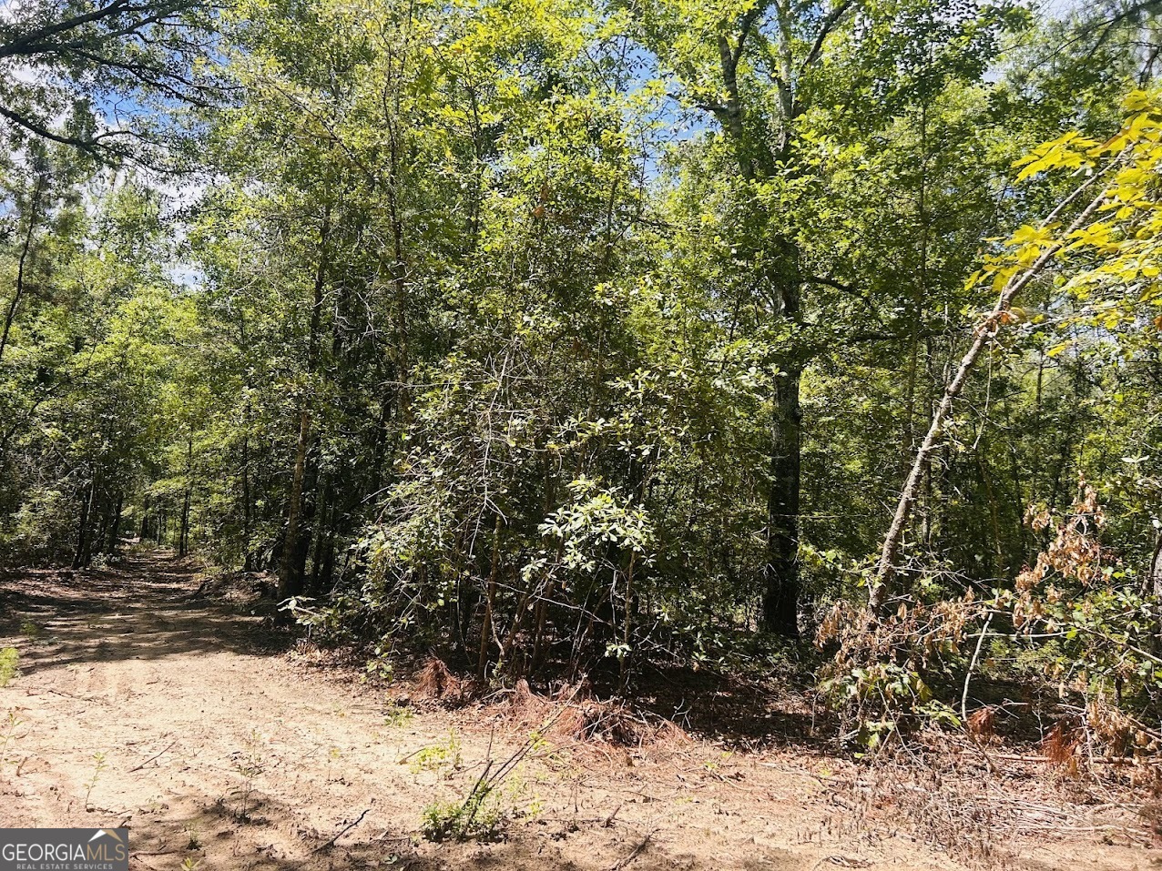 0 Moores Chapel Road Mauk, GA 31058 - Photo 2 of 32 a view of a yard covered in snow