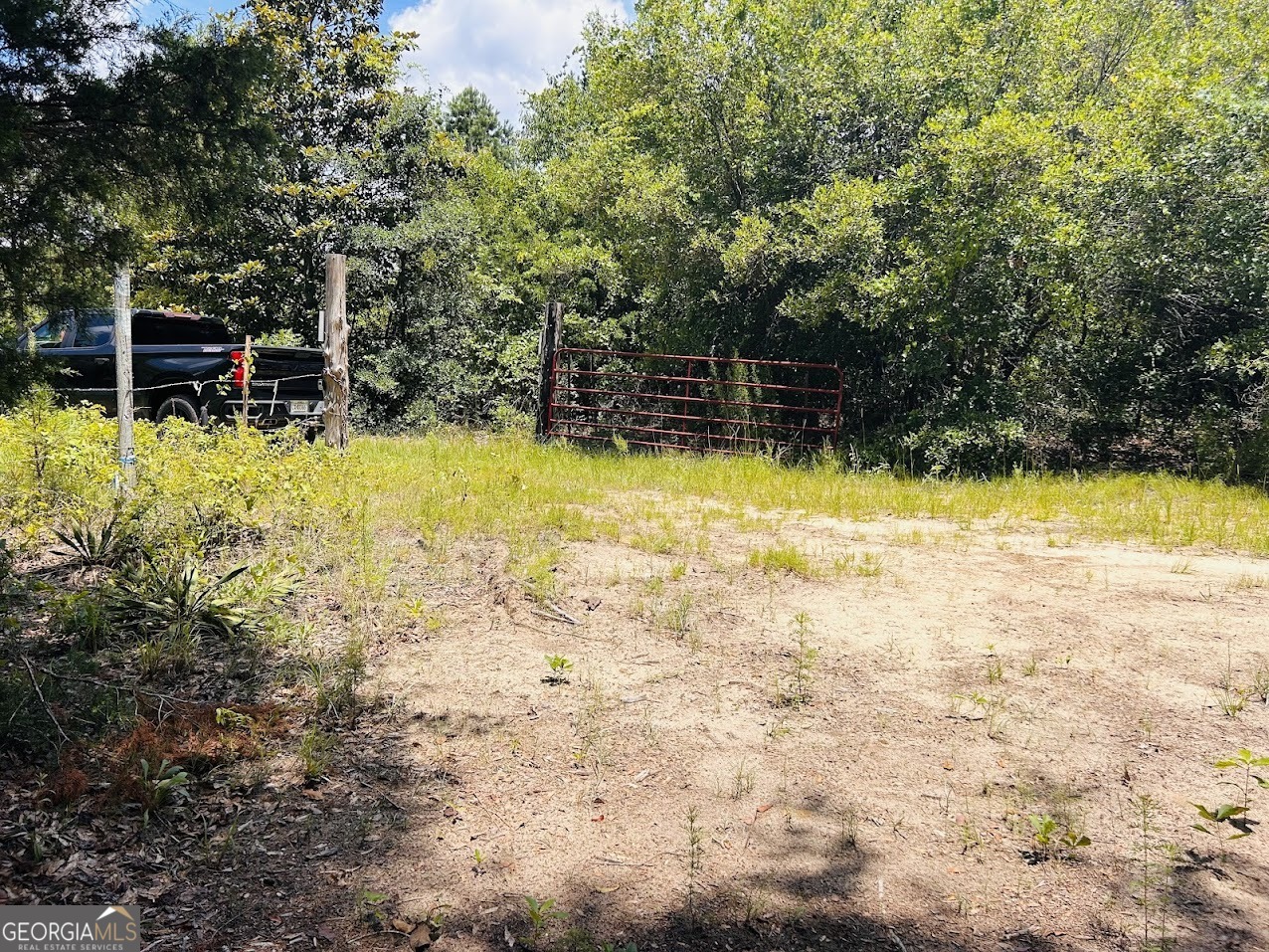 0 Moores Chapel Road Mauk, GA 31058 - Photo 23 of 32 a view of a swimming pool with a yard