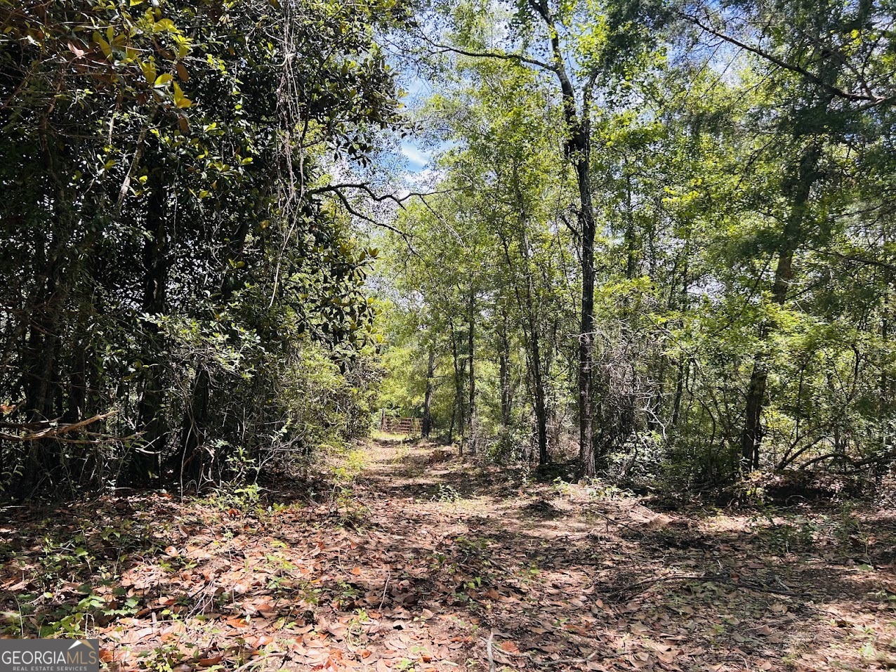 0 Moores Chapel Road Mauk, GA 31058 - Photo 27 of 32 a view of dirt yard with a tree