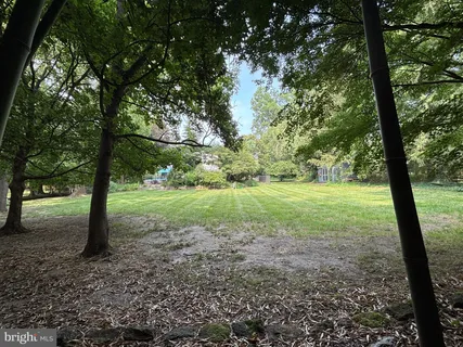 a view of a garden with a tree