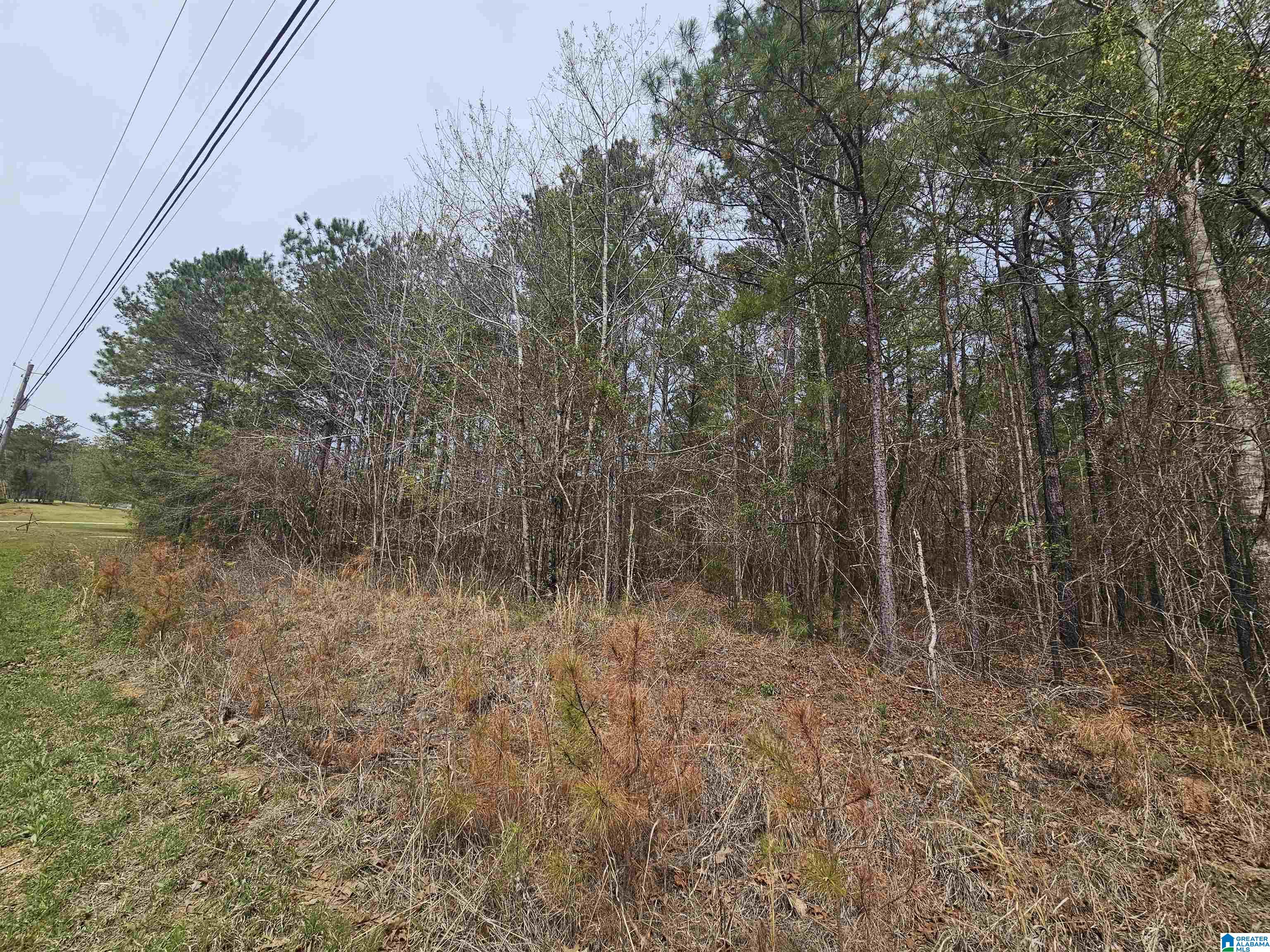 0 Hunters Xing Road, Unit 45&46 Odenville, AL 35120 - Photo 4 of 6