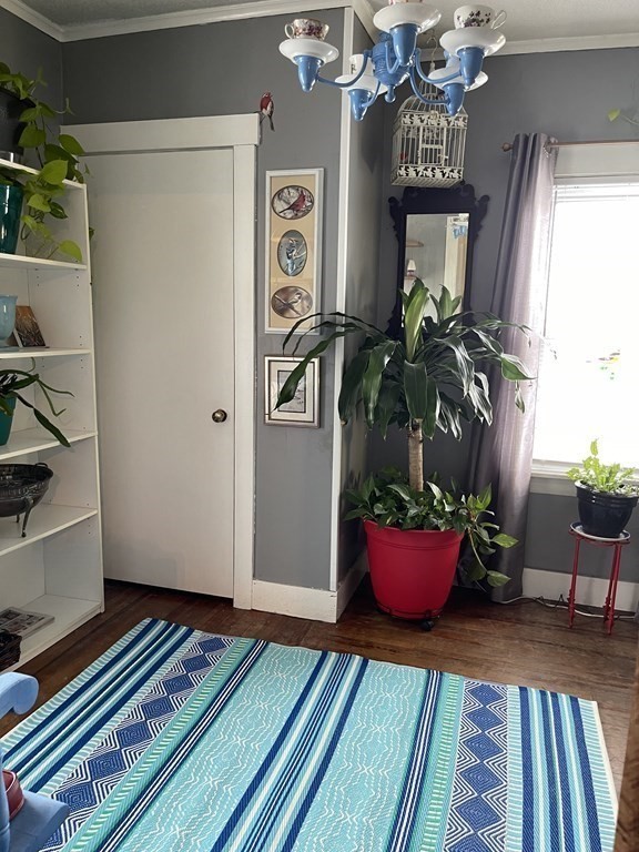 61 Fenner Street Fall River, MA 02724 - Photo 22 of 23 a living room with furniture and potted plants