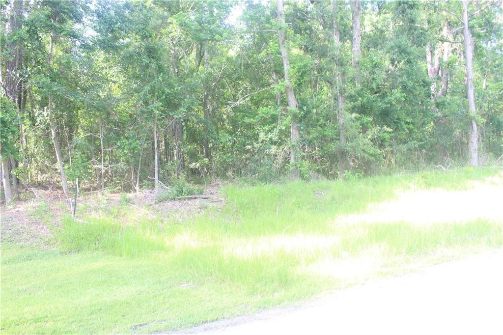 2976 Ardoch Road Southwest Townsend, GA 31331 - Photo 1 of 1 Gallery Image 1