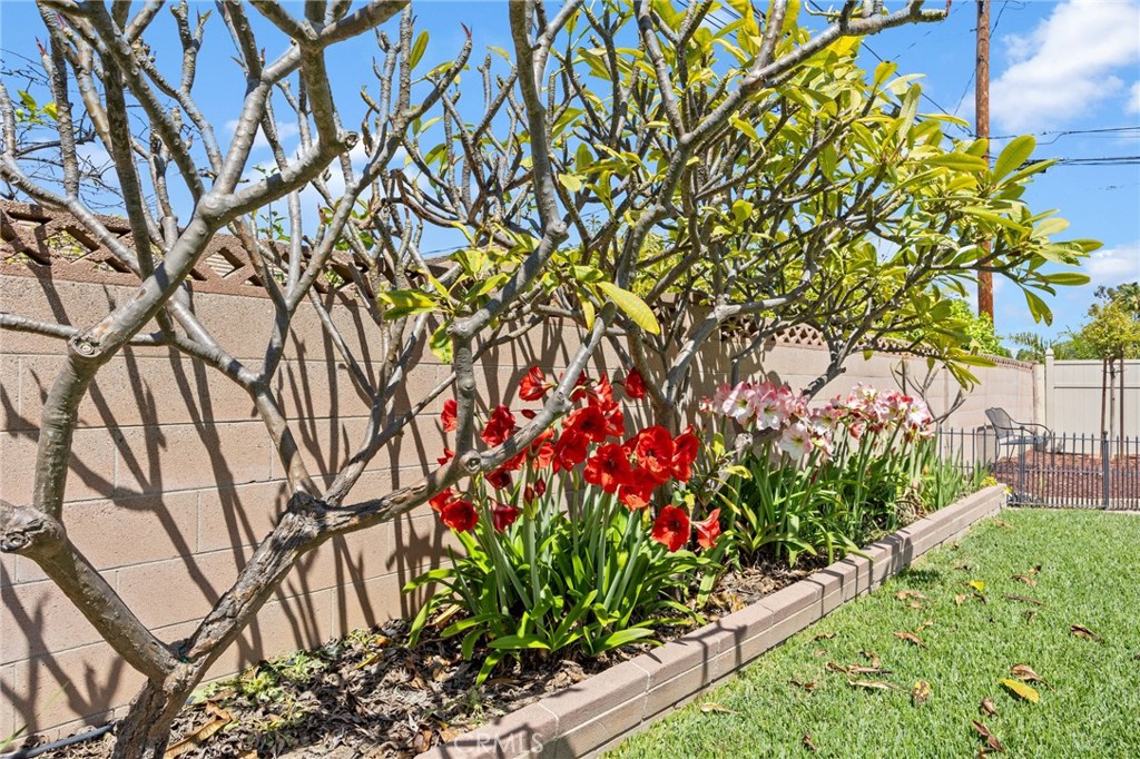 14895 Fairvilla Drive La Mirada, CA 90638 - Photo 27 of 31 a picture of flowers