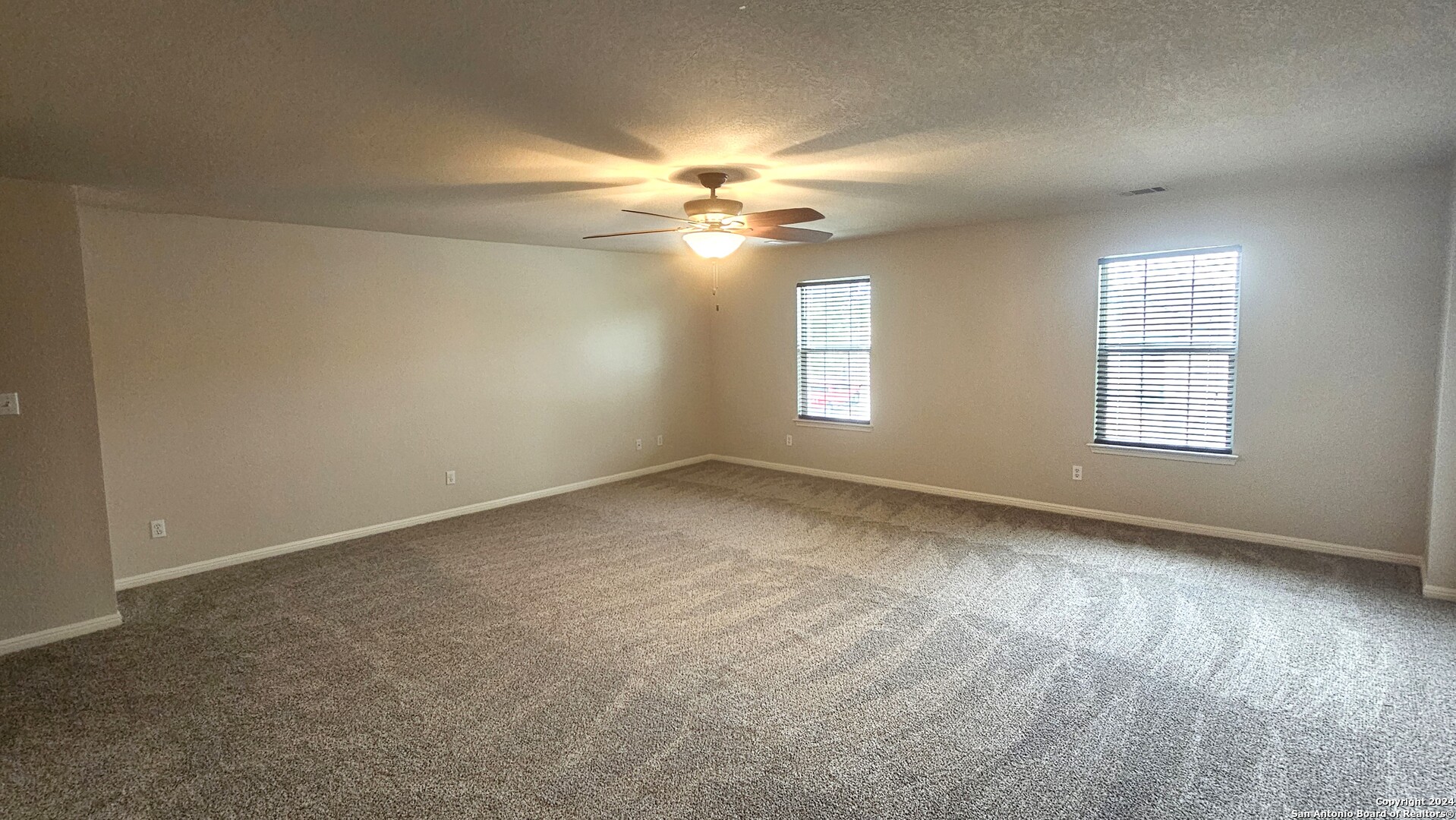 209 Storm Mt Road Cibolo, TX 78108 - Photo 26 of 28 an empty room with windows and fan