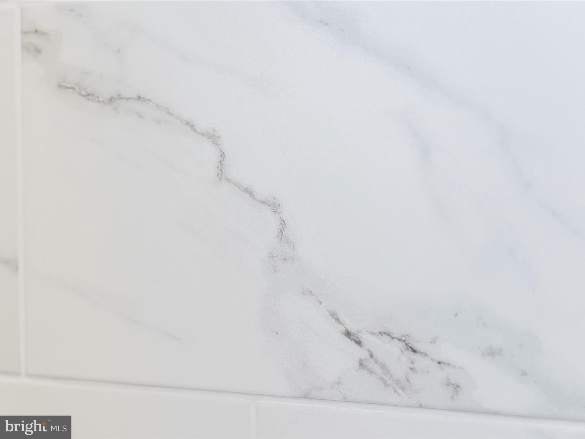 7022 Ridge Road Frederick, MD 21702 - Photo 42 of 63 Primary Bathroom Detail