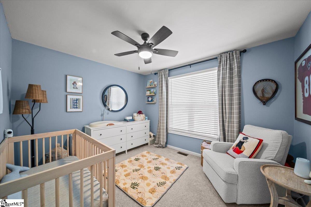 630 McConnell Road Marietta, SC 29661 - Photo 40 of 49