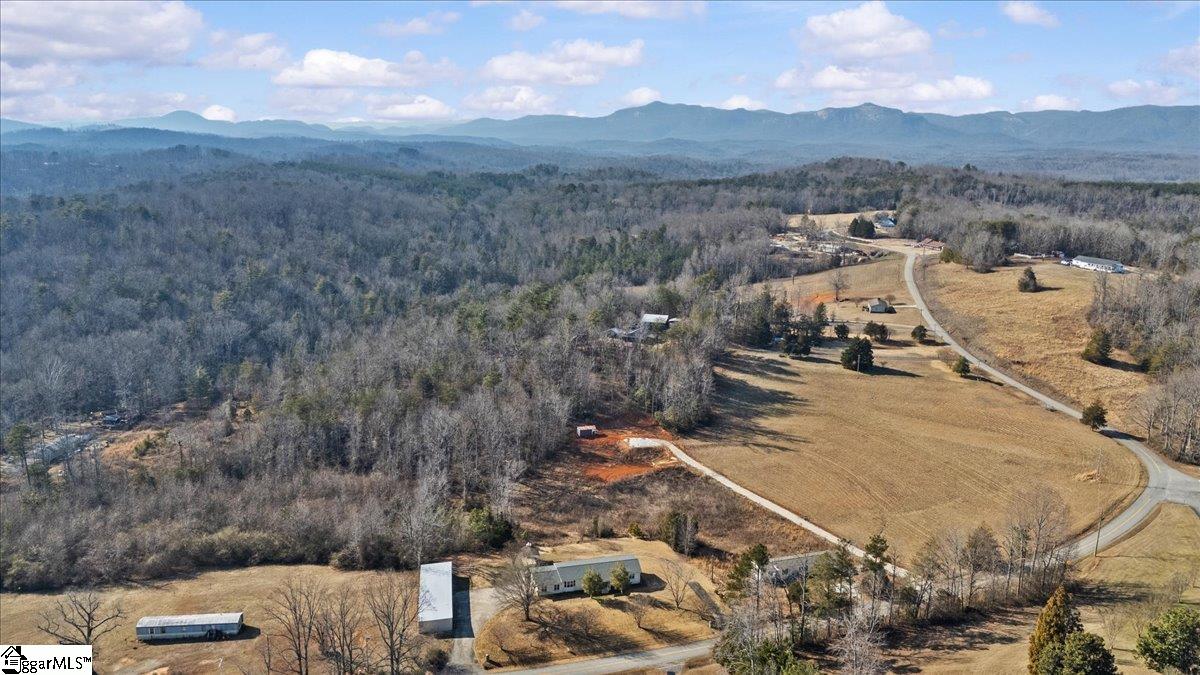 630 McConnell Road Marietta, SC 29661 - Photo 46 of 49