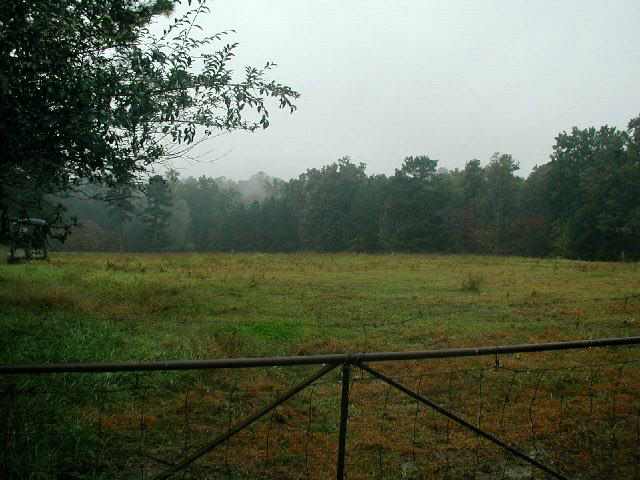 785 Flat Shoals Road Walhalla, SC 29691 - Photo 2 of 9 Gallery Image 2