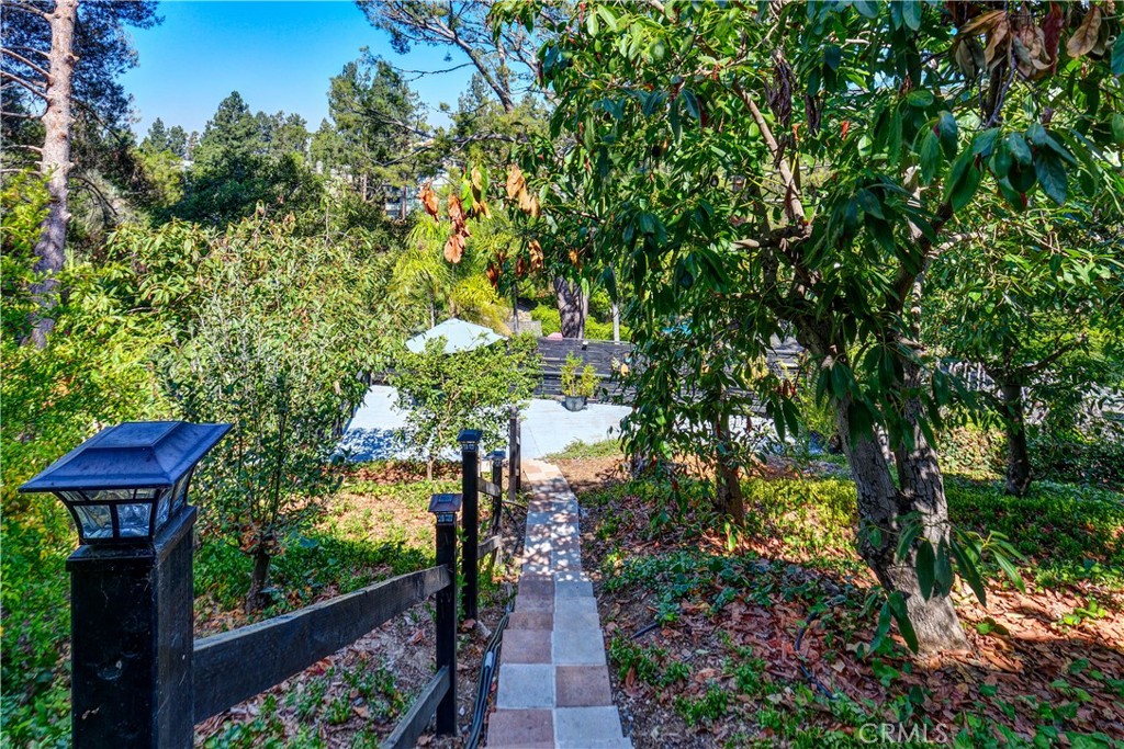 13739 Ridge Road Whittier, CA 90601 - Photo 32 of 42 a pathway to a tree