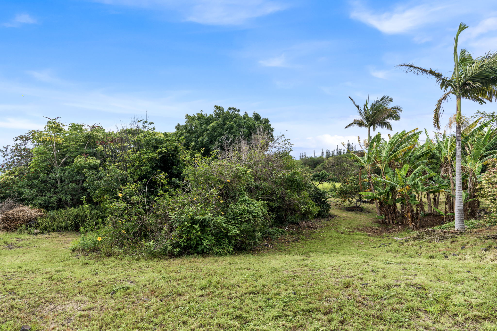 94-6494 Keoki Road Naalehu, HI 96772 - Photo 24 of 30 a view of a garden