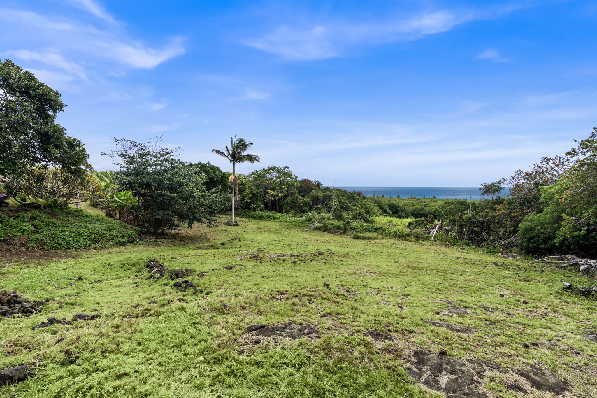 94-6494 Keoki Road Naalehu, HI 96772 - Photo 25 of 30 a view of a green field with lots of bushes