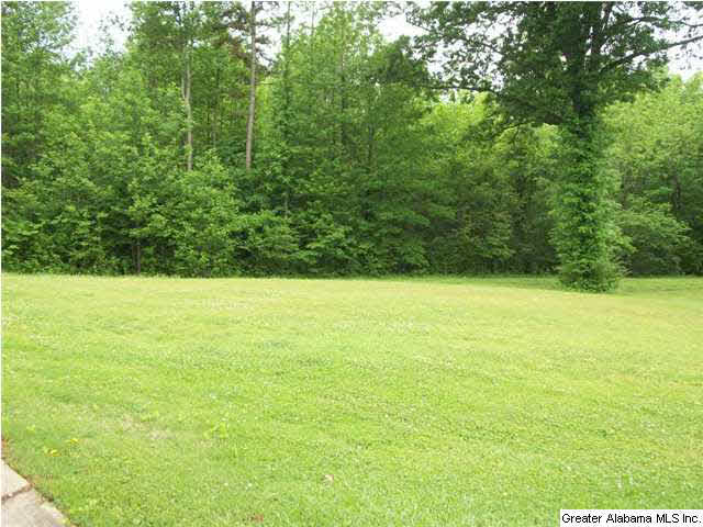 263 Meadows Drive Springville, AL 35146 - Photo 29 of 29 Gallery Image 29