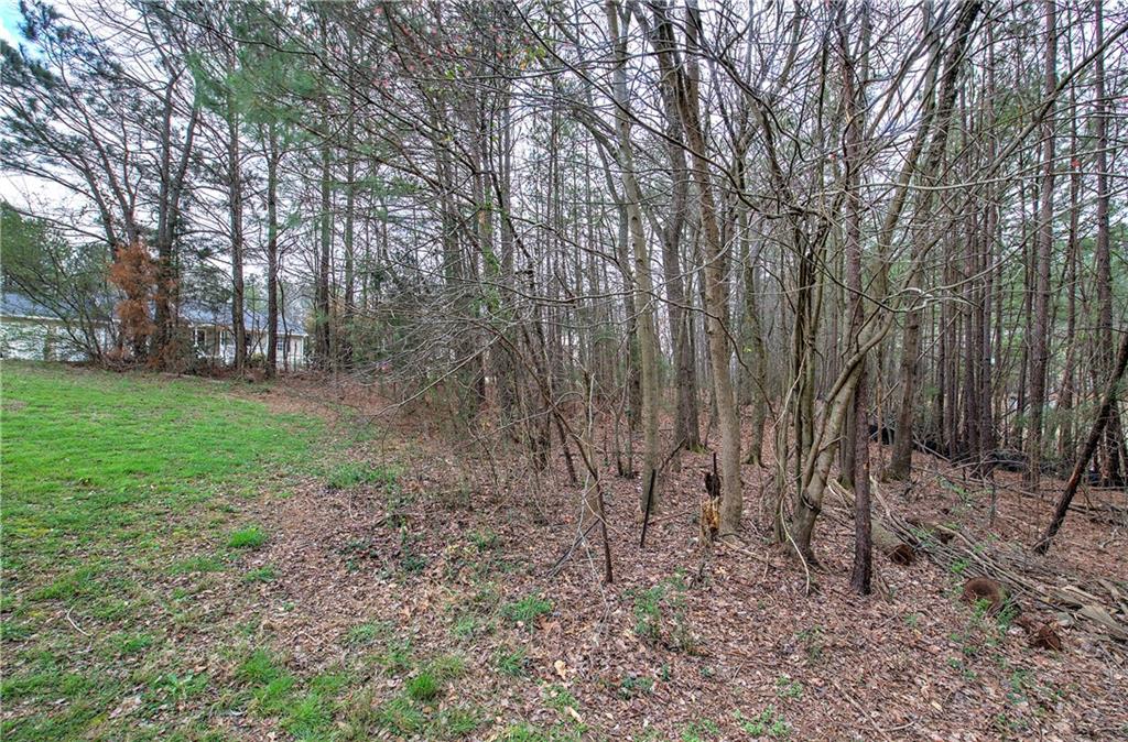 385 Griffin Road Northwest Cartersville, GA 30120 - Photo 35 of 41