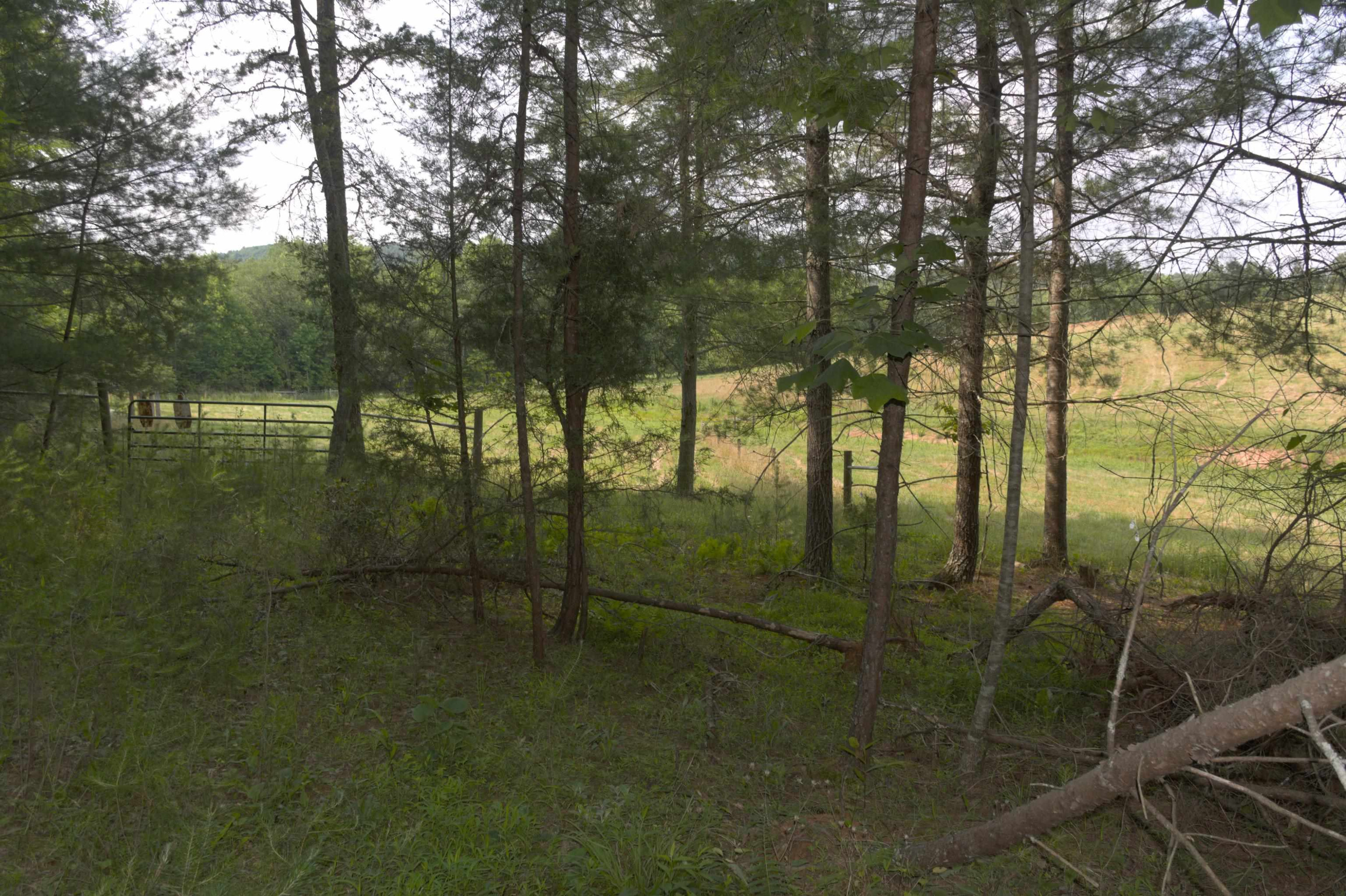 Fox Winkler Road Lenoir, NC 28645 - Photo 16 of 16 Photo 16