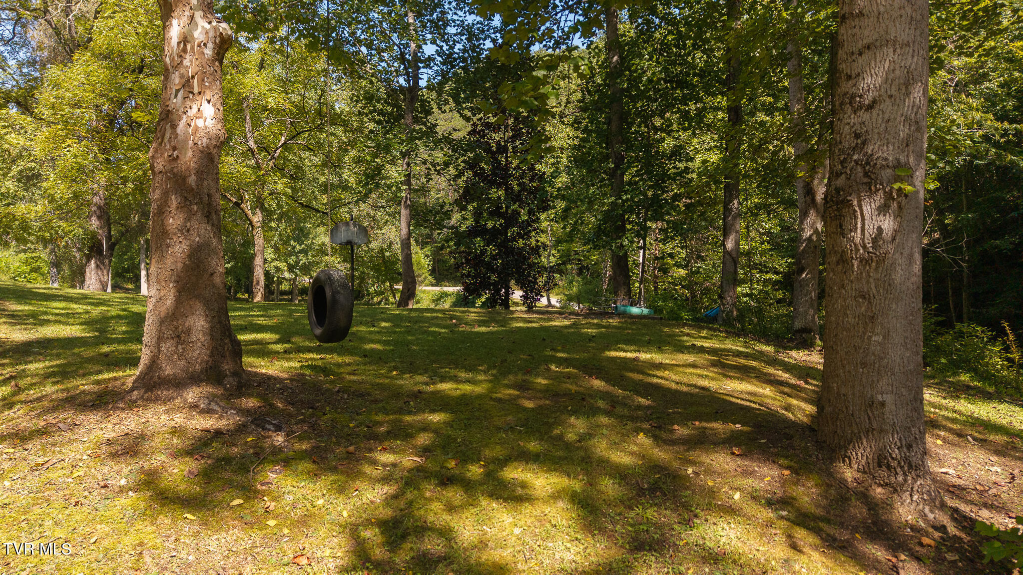 997 Miller Hollow Road Bean Station, TN 37708 - Photo 13 of 52 DJI_20250908145401_0028_D