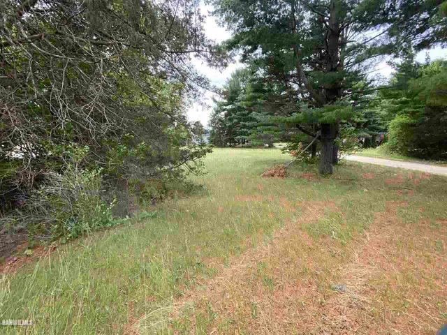 a view of a yard with a tree