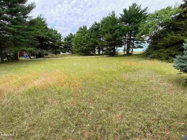 a view of a yard with a trees