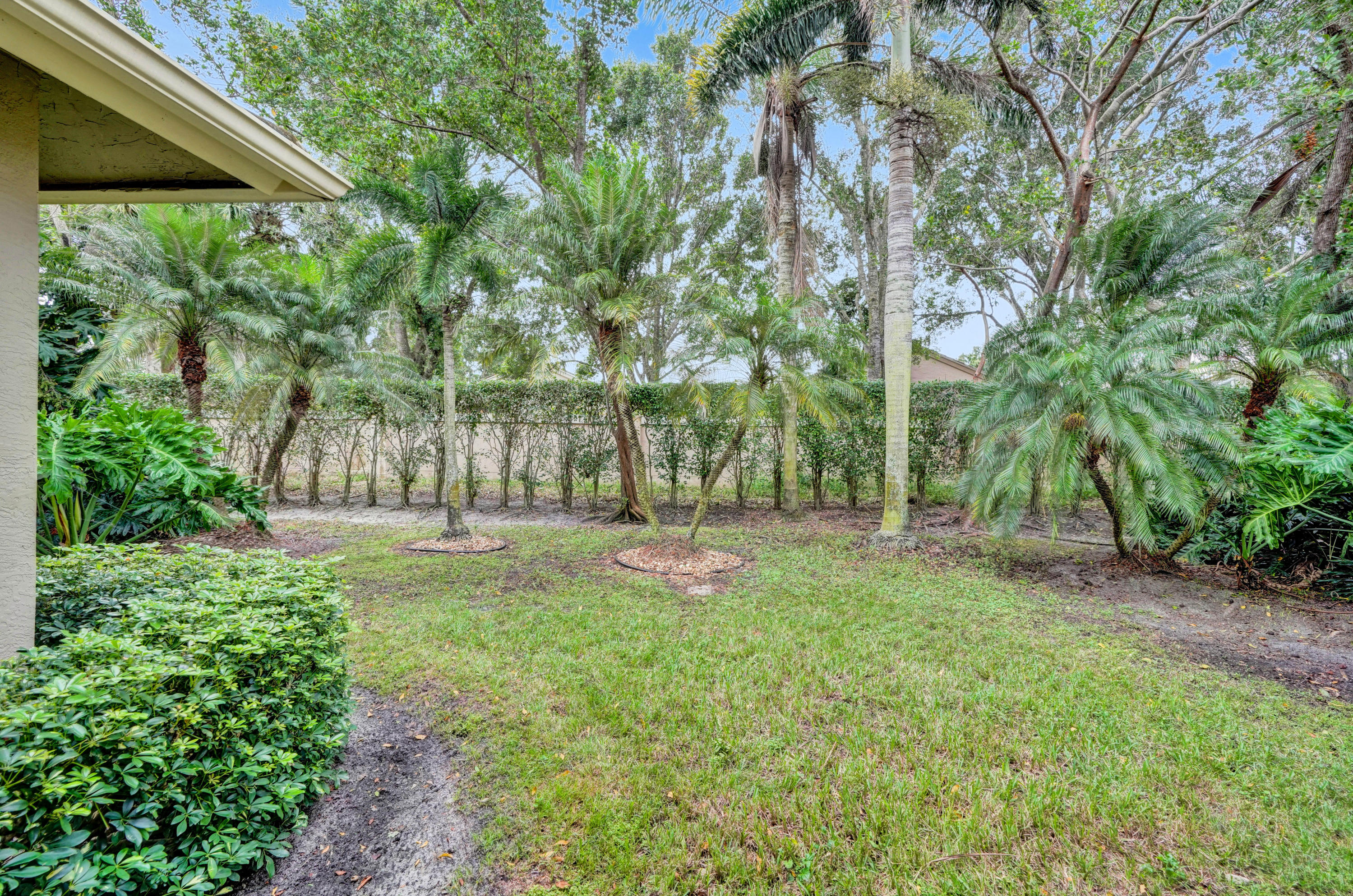 7849 Via Grande Boynton Beach, FL 33437 - Photo 7 of 59 a view of a yard with a tree