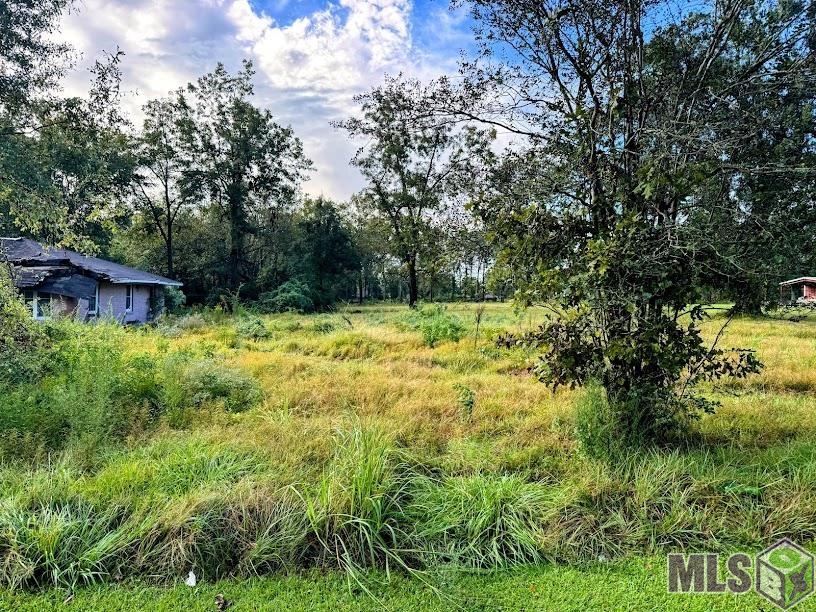 6860 Hooper Road Baton Rouge, LA 70811 - Photo 2 of 11 Gallery Image 2