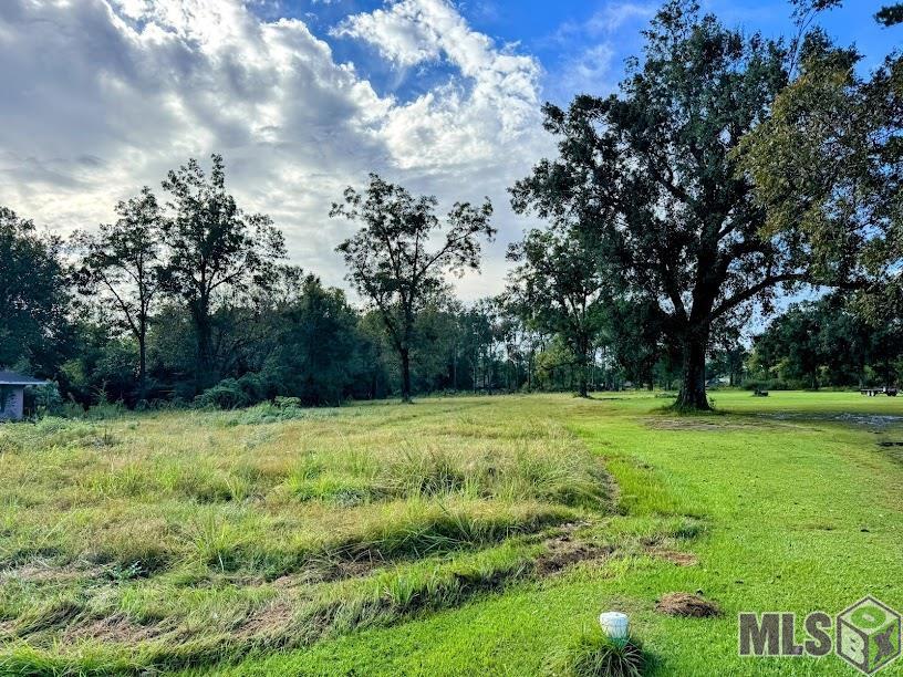 6860 Hooper Road Baton Rouge, LA 70811 - Photo 3 of 11 Gallery Image 3