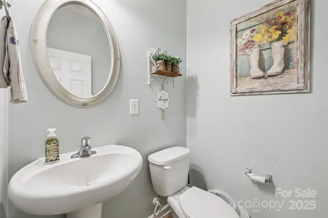 $425,000 | 10900 Tailwater Street, Davidson, NC 28036