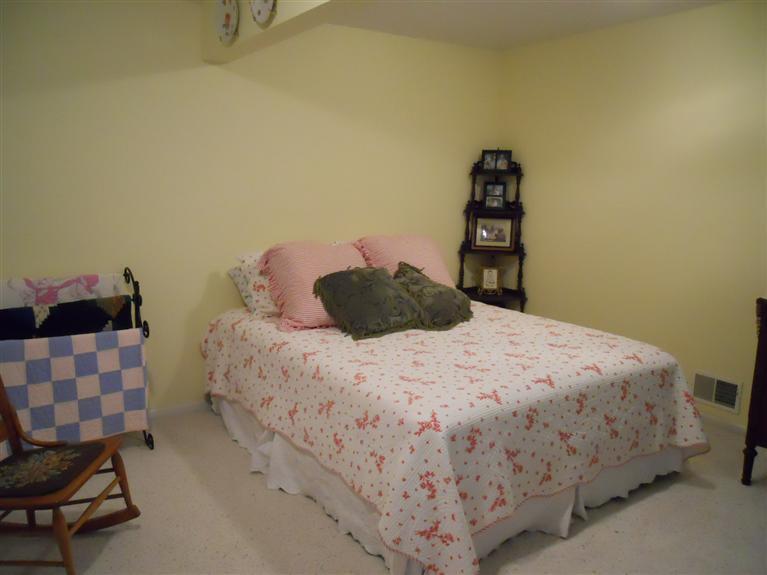 16716 Rynearson Street Buchanan, MI 49107 - Photo 17 of 24 Additional Photo