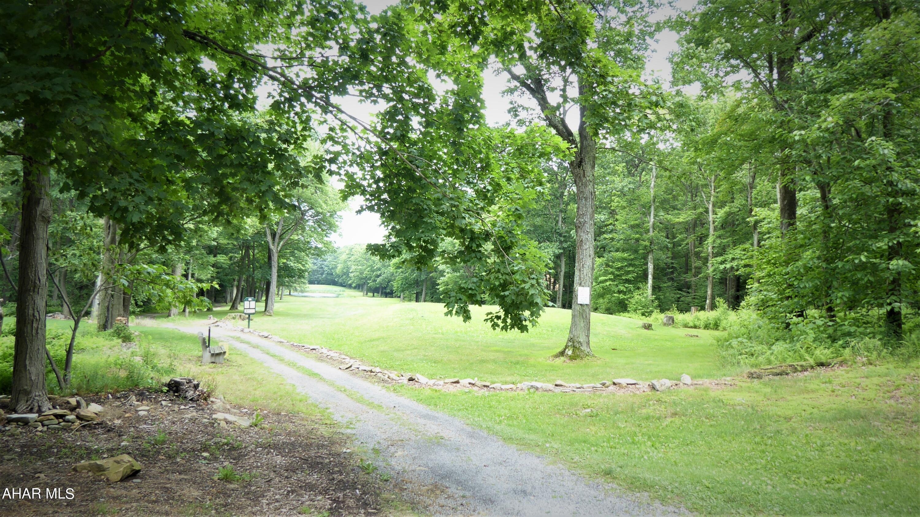 0 Ridge Run Road Claysburg, PA 16625 - Photo 10 of 24